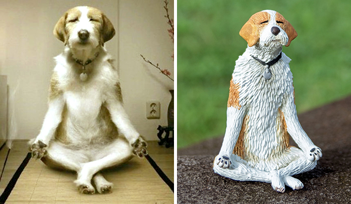 Funny-Animals-Photo-Sculptures-Meetissai