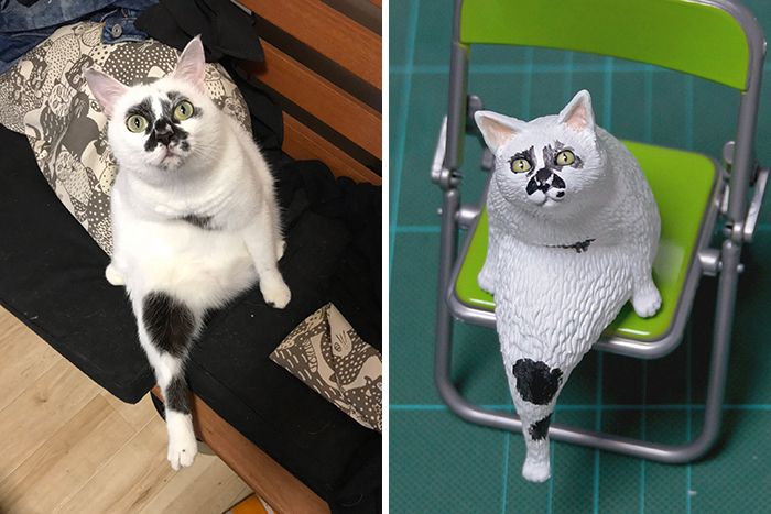 Funny-Animals-Photo-Sculptures-Meetissai