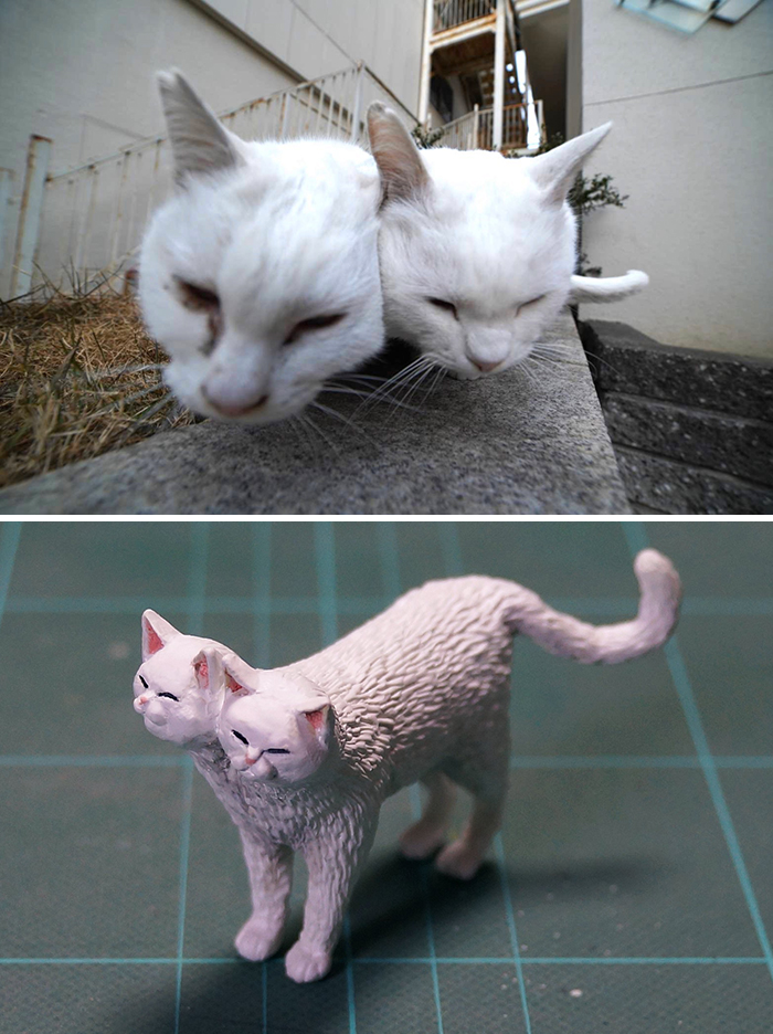 Funny Animals Sculptures