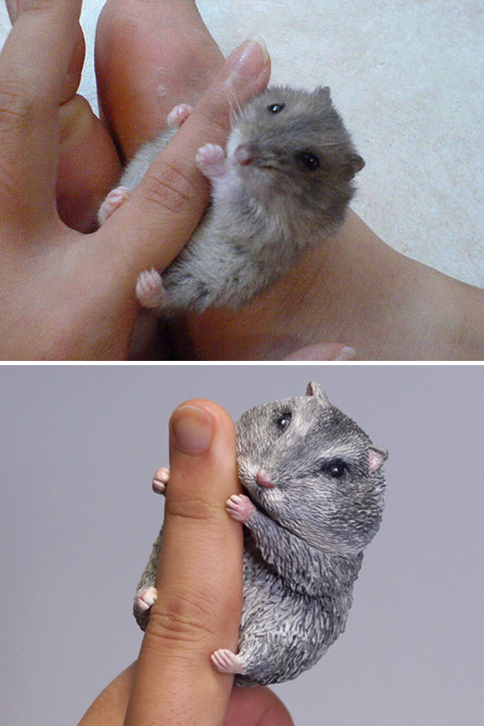 Funny Animals Sculptures