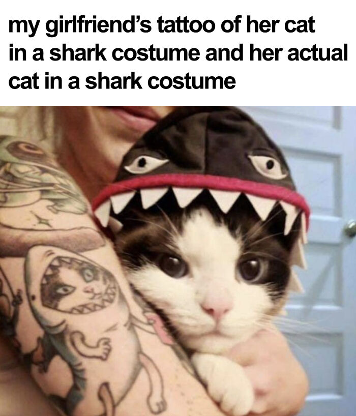 Wholesome-Heartwarming-Memes