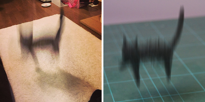 Funny Animals Sculptures