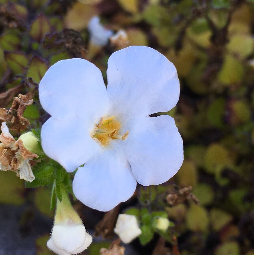 Wildlife Photography Wildlife Photography