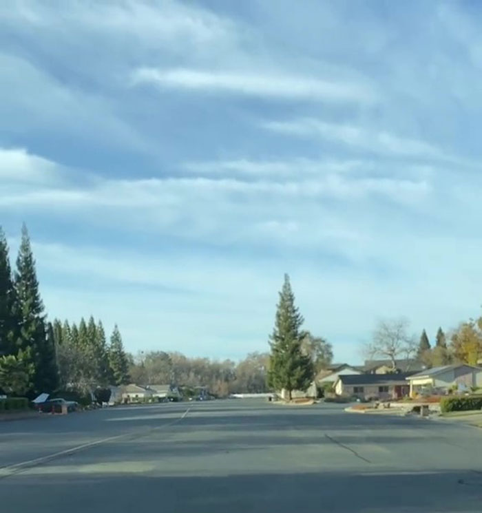 TikTok Video Showing A Neighborhood Where Everyone Has Airplanes Goes Viral With 4.8M Views
