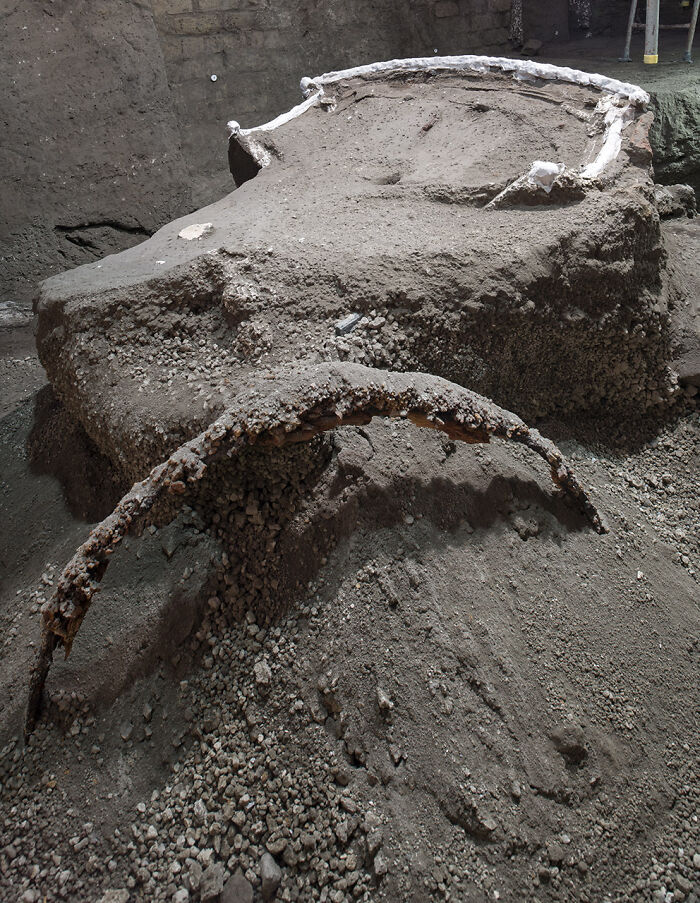 A Perfectly Preserved Roman Ceremonial Carriage That Got Buried In A Volcanic Eruption 2000 Years Ago Gets Discovered By Archaeologists In Italy A Perfectly Preserved Roman Ceremonial Carriage That Got Buried In A Volcanic Eruption 2000 Years Ago Gets Discovered By Archaeologists In Italy