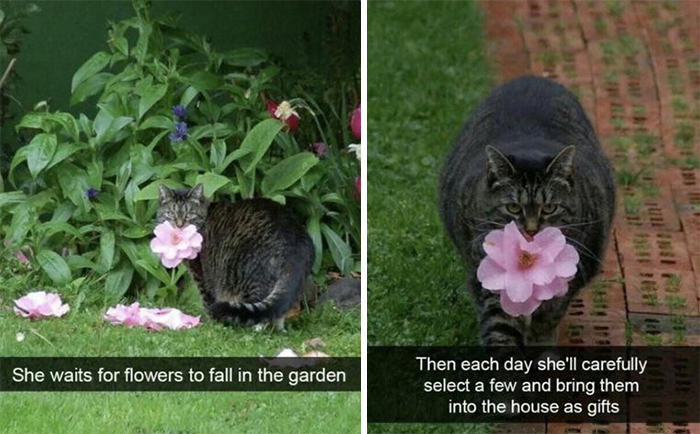 Wholesome-Heartwarming-Memes