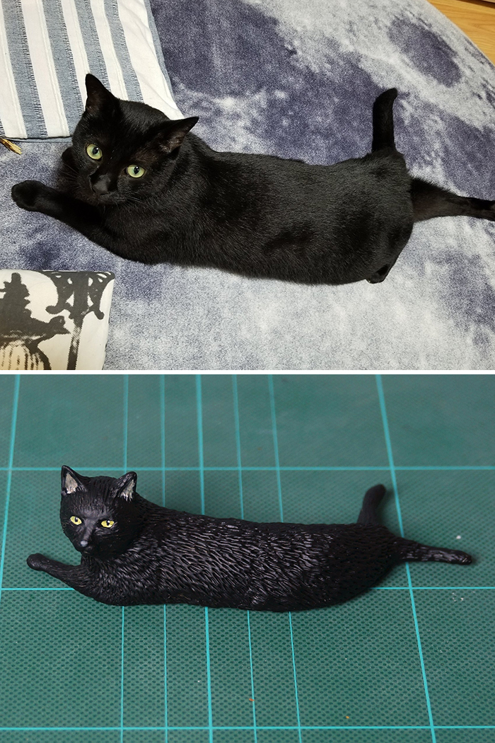 Funny Animals Sculptures