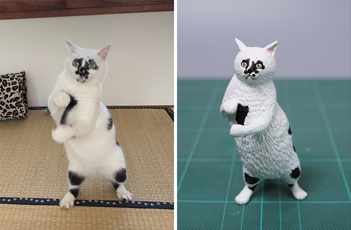 Funny-Animals-Photo-Sculptures-Meetissai