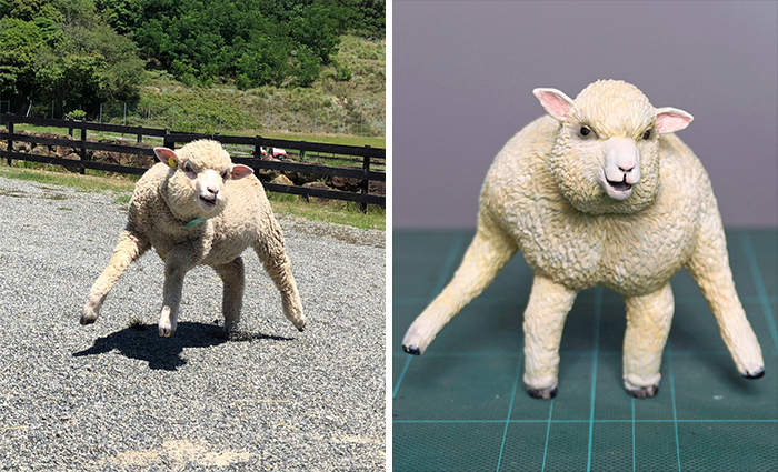 Funny-Animals-Photo-Sculptures-Meetissai