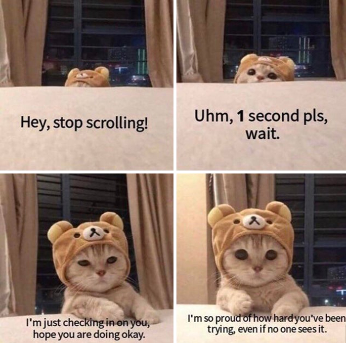 Wholesome-Heartwarming-Memes