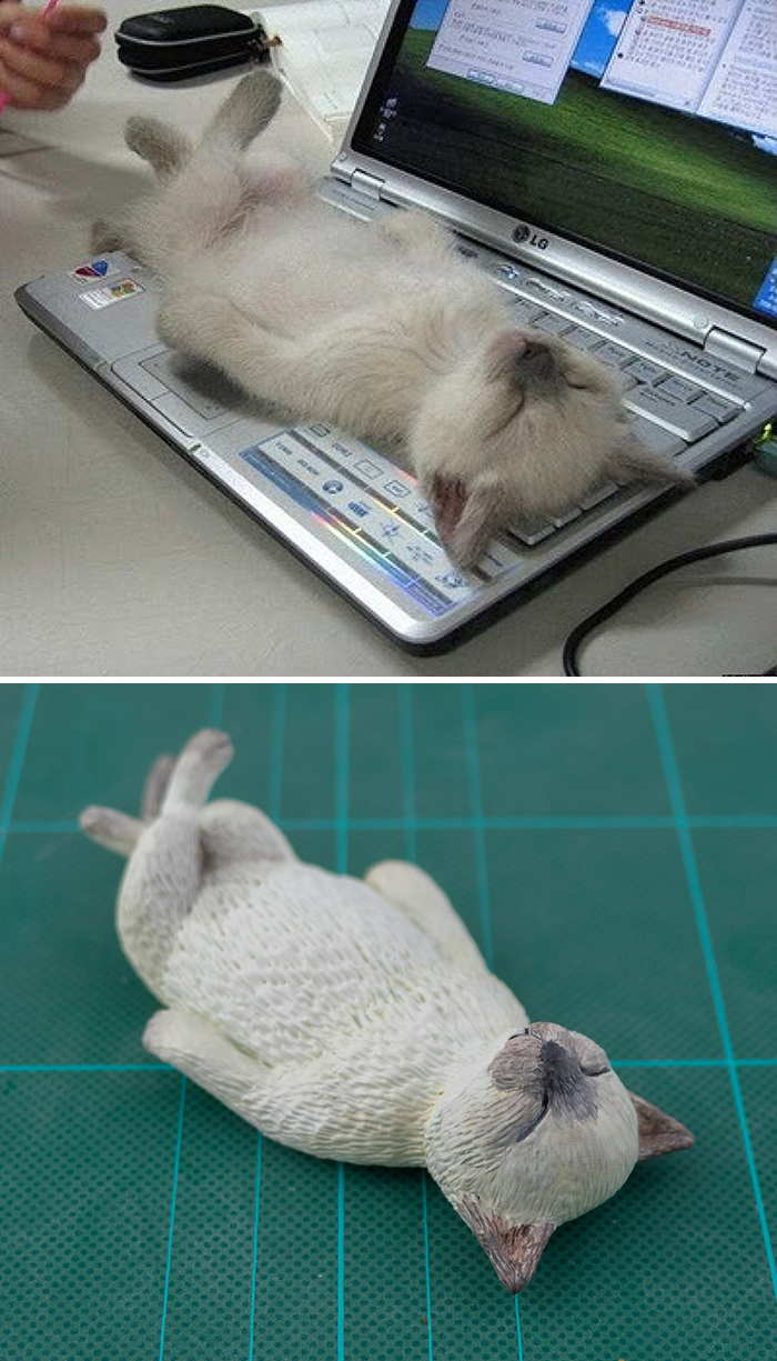 Funny-Animals-Photo-Sculptures-Meetissai