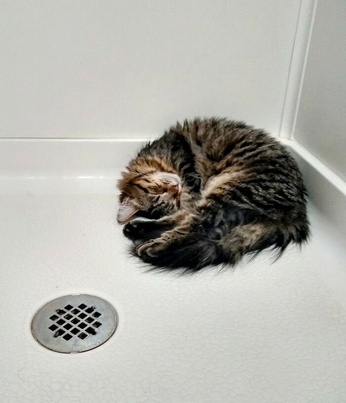 I’ll Sleep Anywhere