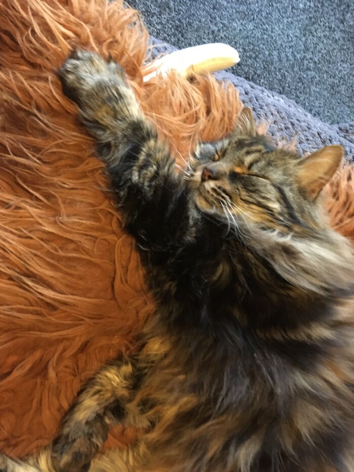 No, I’m Not Waking Up!