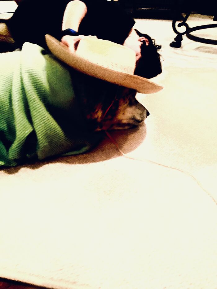 My Dog Is Addie And Is An Australian Cattle Dog