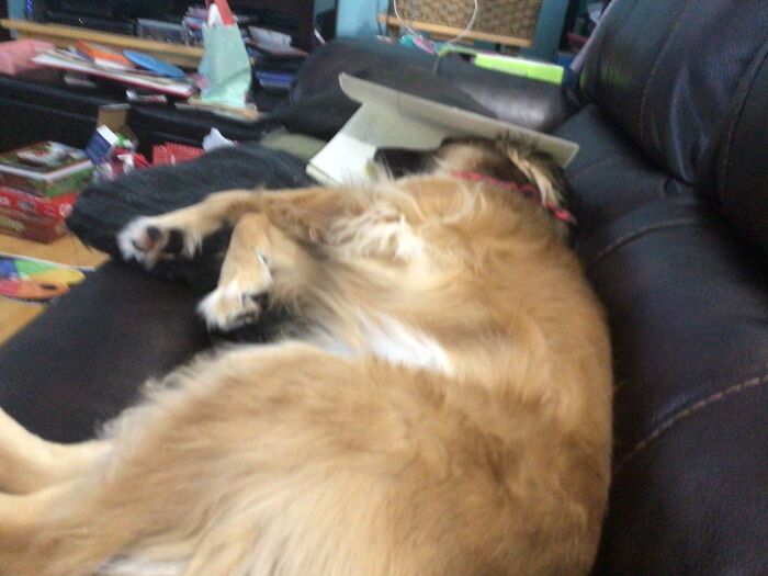 Meet Tillie ✨💖✨