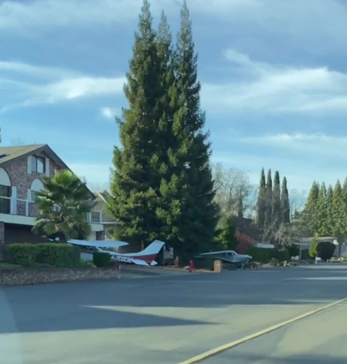 TikTok Video Showing A Neighborhood Where Everyone Has Airplanes Goes Viral With 4.8M Views TikTok Video Showing A Neighborhood Where Everyone Has Airplanes Goes Viral With 4.8M Views