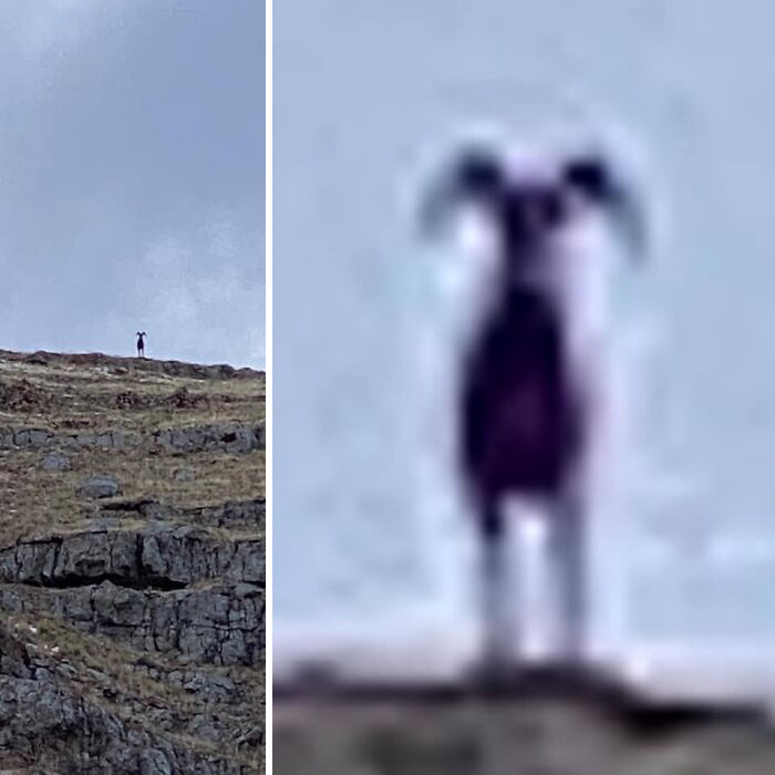 It Was Amazing Experience, Less Than 3 Hours Ago In Jackson Hole, Wy. Pretty Sure This Is Brought To You By The Christmas Star