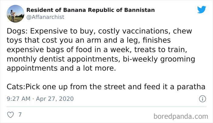 Cat-vs.-Dog-People-Tweets