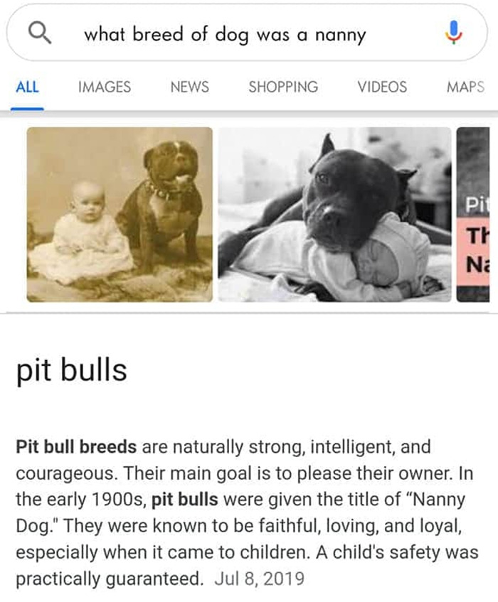 Wholesome-Heartwarming-Memes