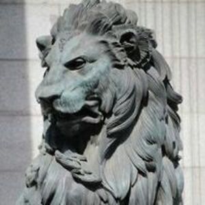 rexamiansiameseuk avatar