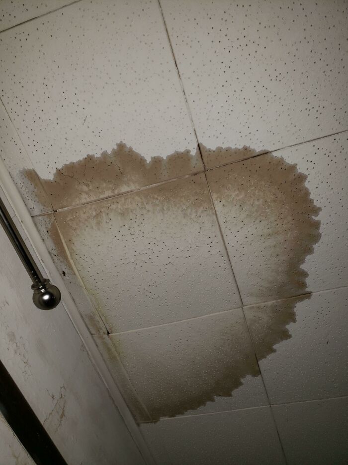 Shout Out To Our Landlord For Never Fixing The Water Damage Caused By Our Upstairs Neighbor's Ac Unit 2 Months Ago