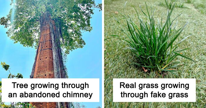 50 Times Nature Won The Battle Against Civilization (New Pics)