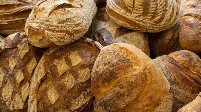 Til: Sweden Has A Hotel For Sourdough Starters That Cares For Travelers’ Bread Dough While They Go Traveling.