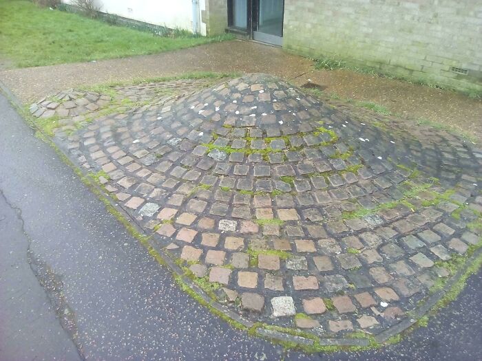 Noticed A Few Of Those Mounds Around, What Are They For?