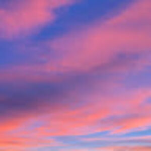 nisreenmakati avatar