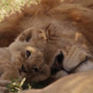 emmaleedonaldson avatar