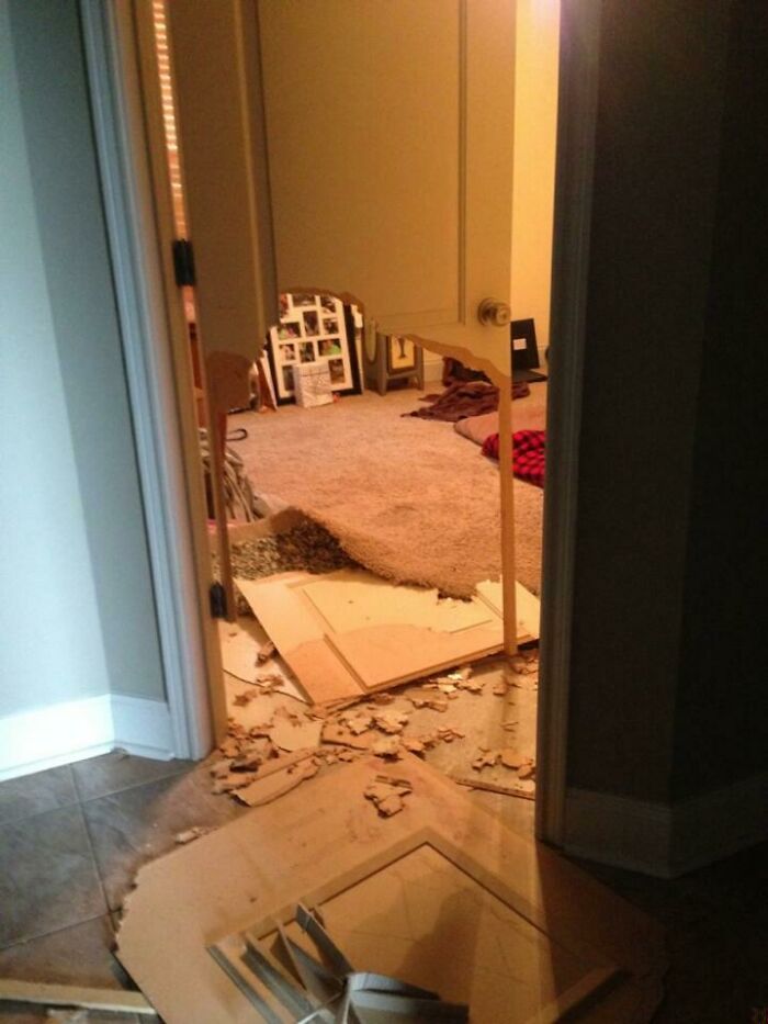 This Is What Happens When A Full Grown English Mastiff Really, Really Doesn't Want To Be In A Room