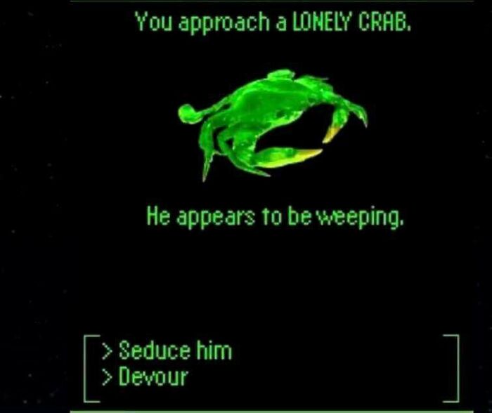 Lonely Crab