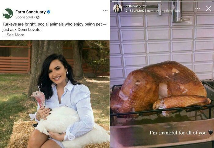 Turkey Lovato