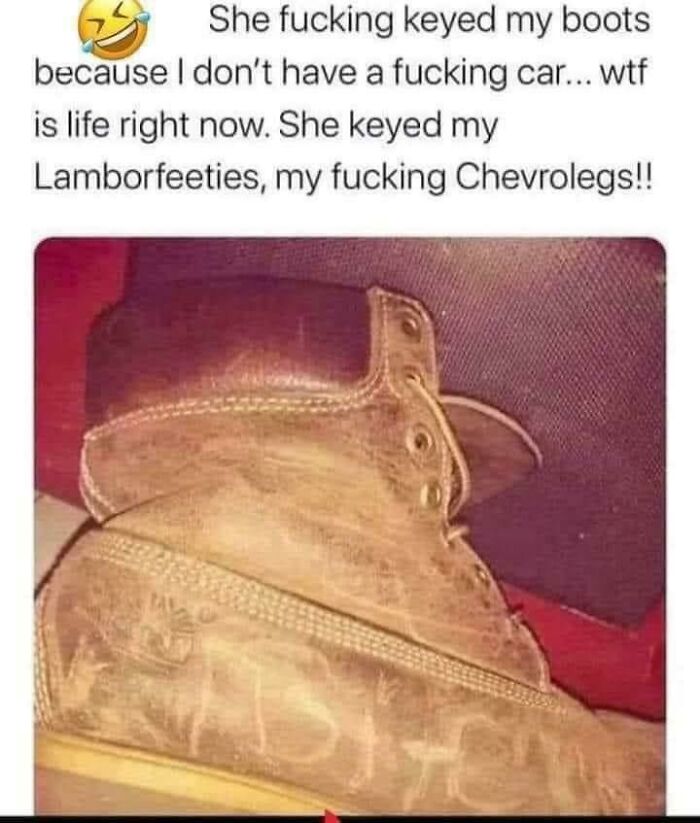 Chevrolegs