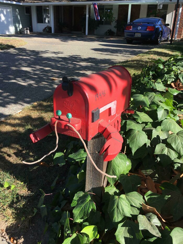Creative mailbox designed as a red lobster with claws and eyes, surrounded by greenery in a residential driveway setting.