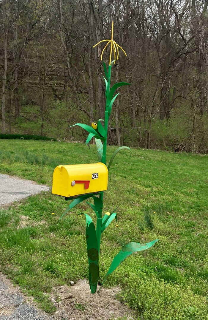 Yellow mailbox designed as a corn stalk with green leaves, showcasing a creative and cool mailbox in a rural setting.