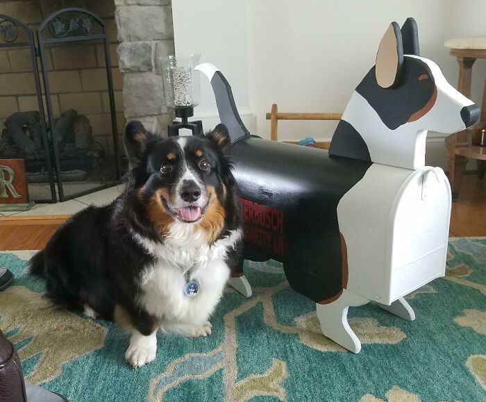 Creative and cool mailbox shaped like a dog next to a real corgi inside a cozy living room setting.