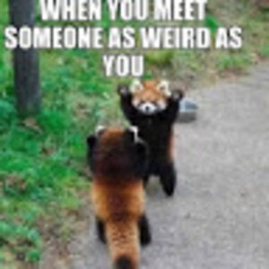 anastasiasandoval avatar