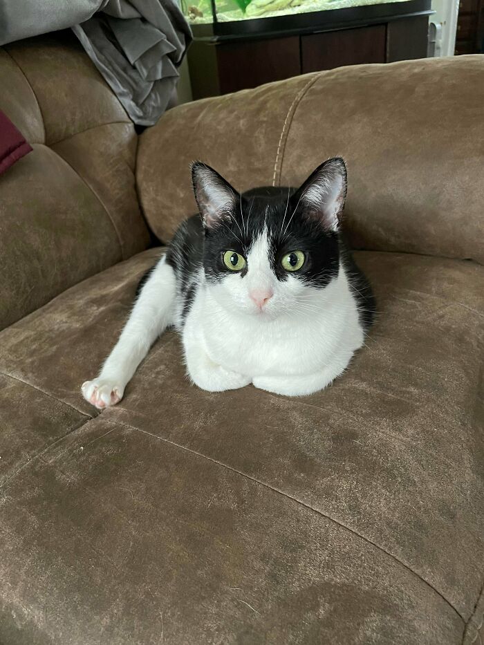 Maybe I Should Have Named Her “Drumstick” Instead