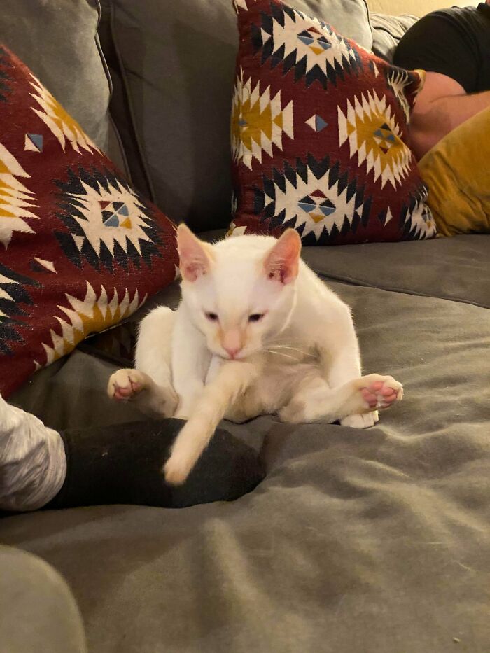 Hey Quick Question Buddy... Why?