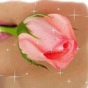 dianaharris947 avatar