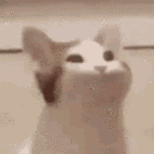 tomcatinthealley avatar