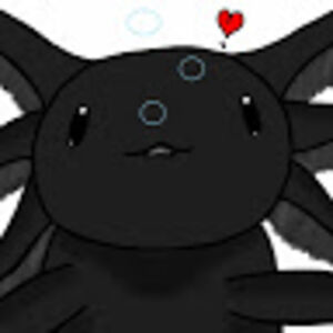 officialdarko avatar