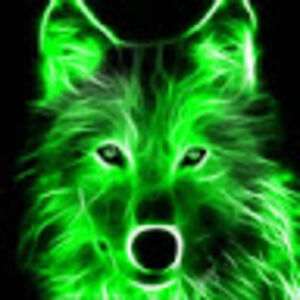 nicholascormas avatar