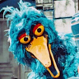 sebastianbonillaarnold avatar