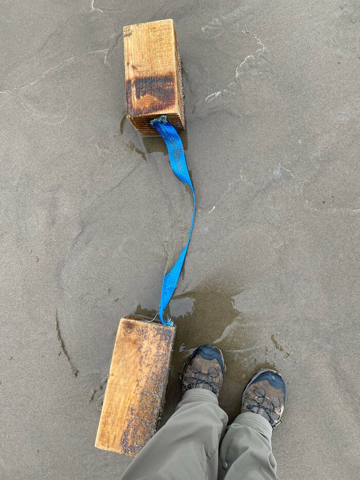These Two Pieces Of Wood Attached By A Nylon Strap. Found On The Beach In Oregon