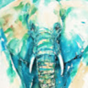 eliseverellen avatar