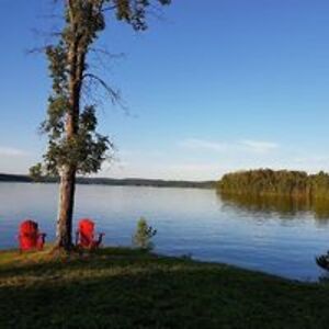 brucehorton99 avatar