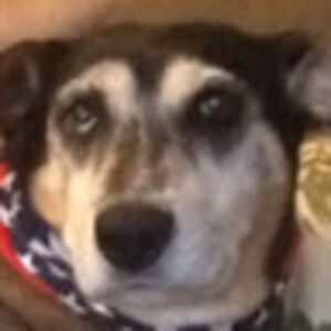 dominickrater avatar