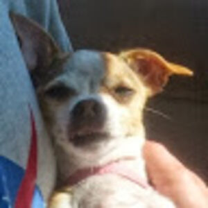 tiffanymunday avatar